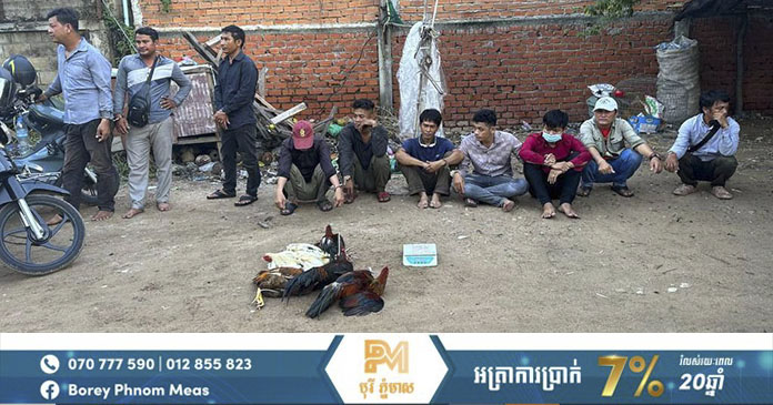 Cockfighting - Cultural Traditions and Impacts in Cambodia